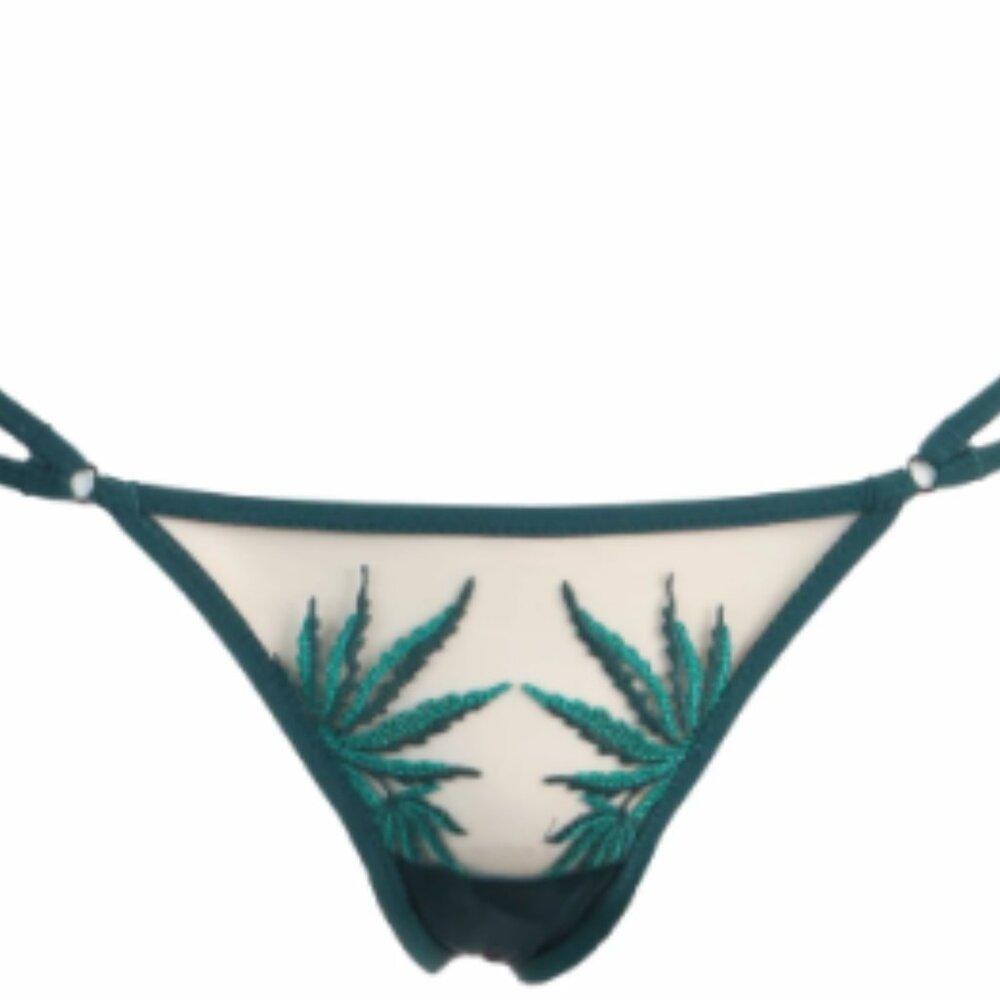 Thistle and Spire Brooklyn Haze thong panty butterscotch sheer embroidery NWT